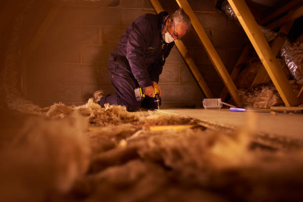 Best Insulation Maintenance and Repair in Parkville, MD